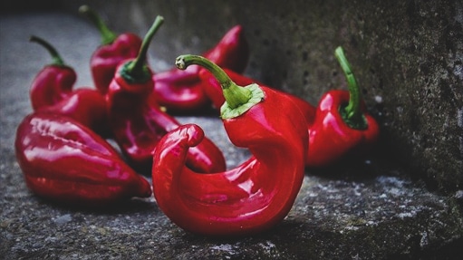 A Brief History of Chili Peppers from 6,100 Year Ago to Today